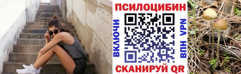 Купить закладки  Микунь  Псилоцибиновые грибы Cubensis 